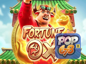 POP678 login — painel de entrada no app oficial